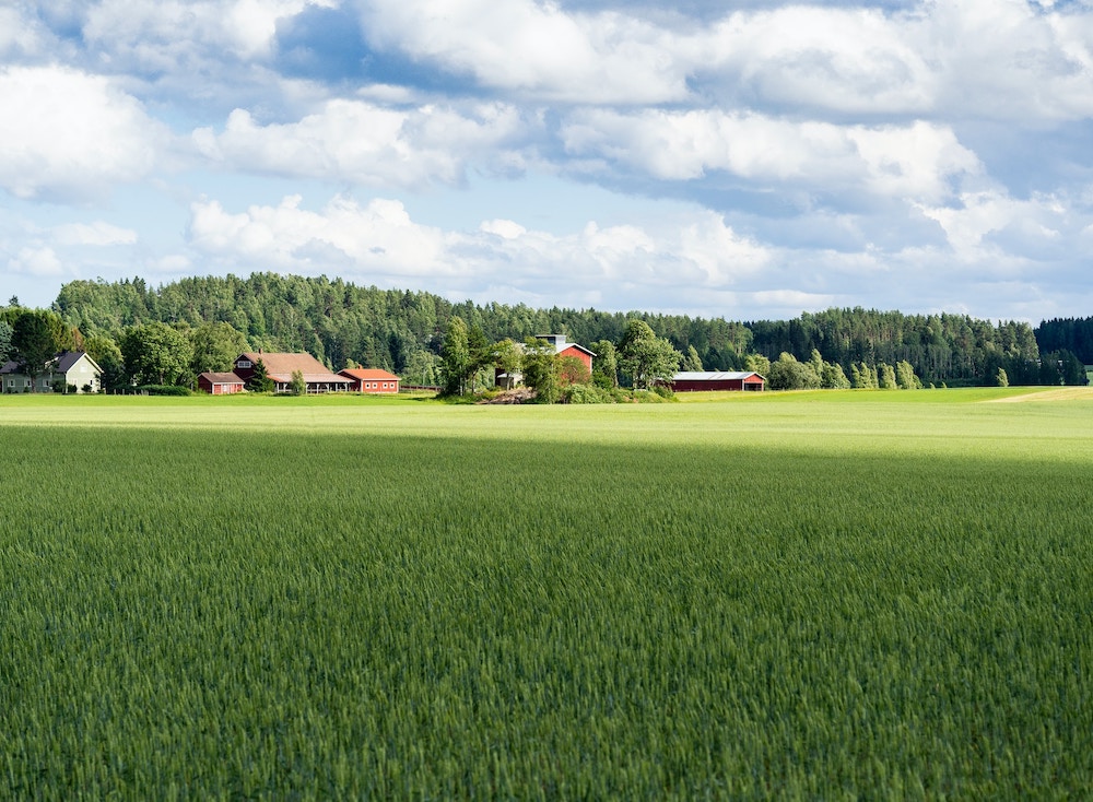 Vacanze in Agriturismo con i Bambini