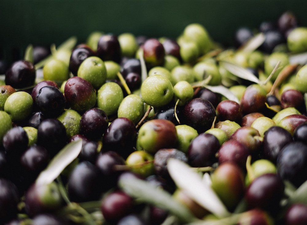 Posso Mangiare le Olive in Gravidanza? 