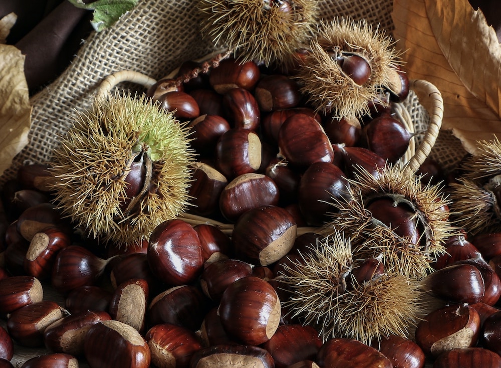 Posso mangiare le castagne durante l'allattamento?