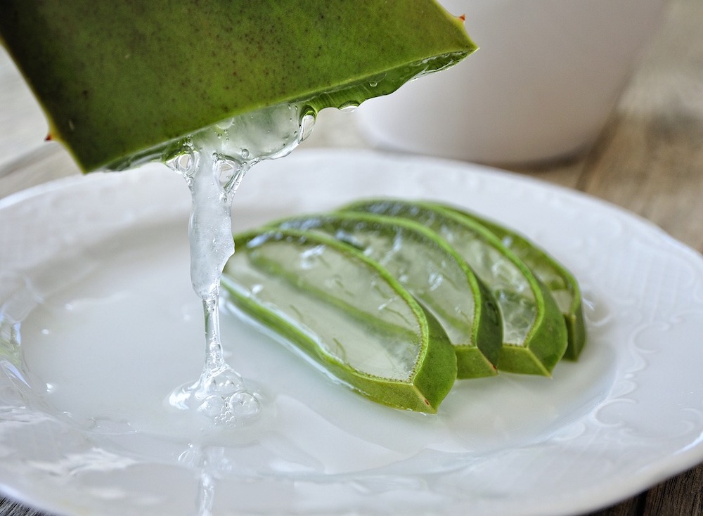 I Benefici dell'Aloe nel Campo della Bellezza