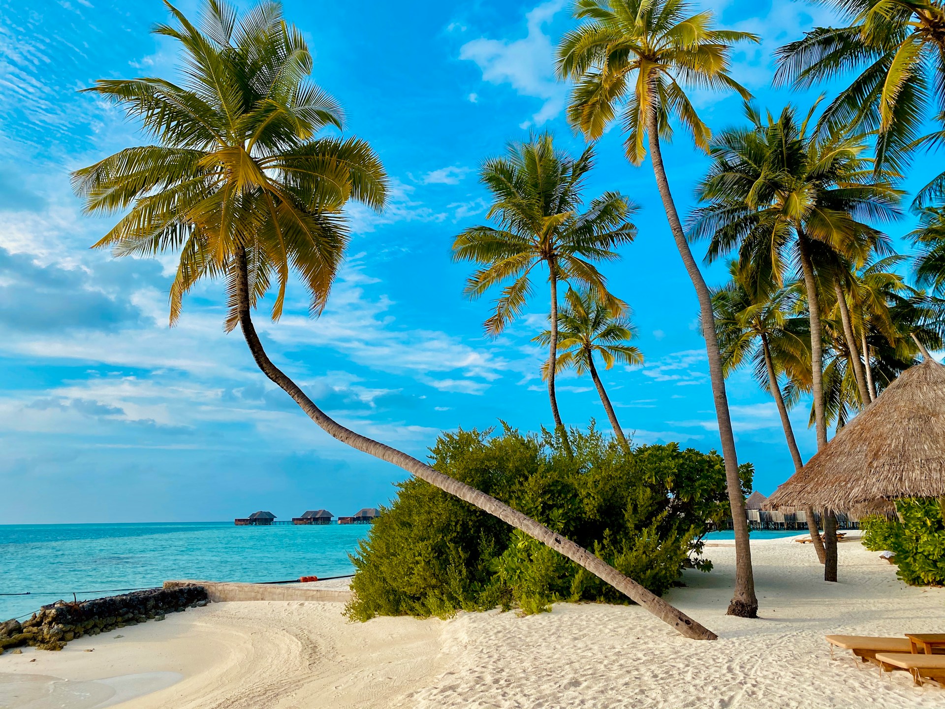 Le 10 Spiagge più Belle del Mondo: Paradisi da Sogno da Esplorare