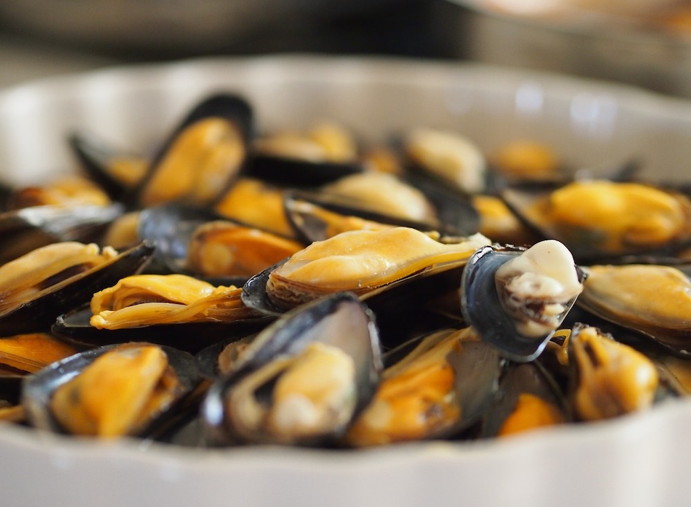 Posso Mangiare i Molluschi in Gravidanza?