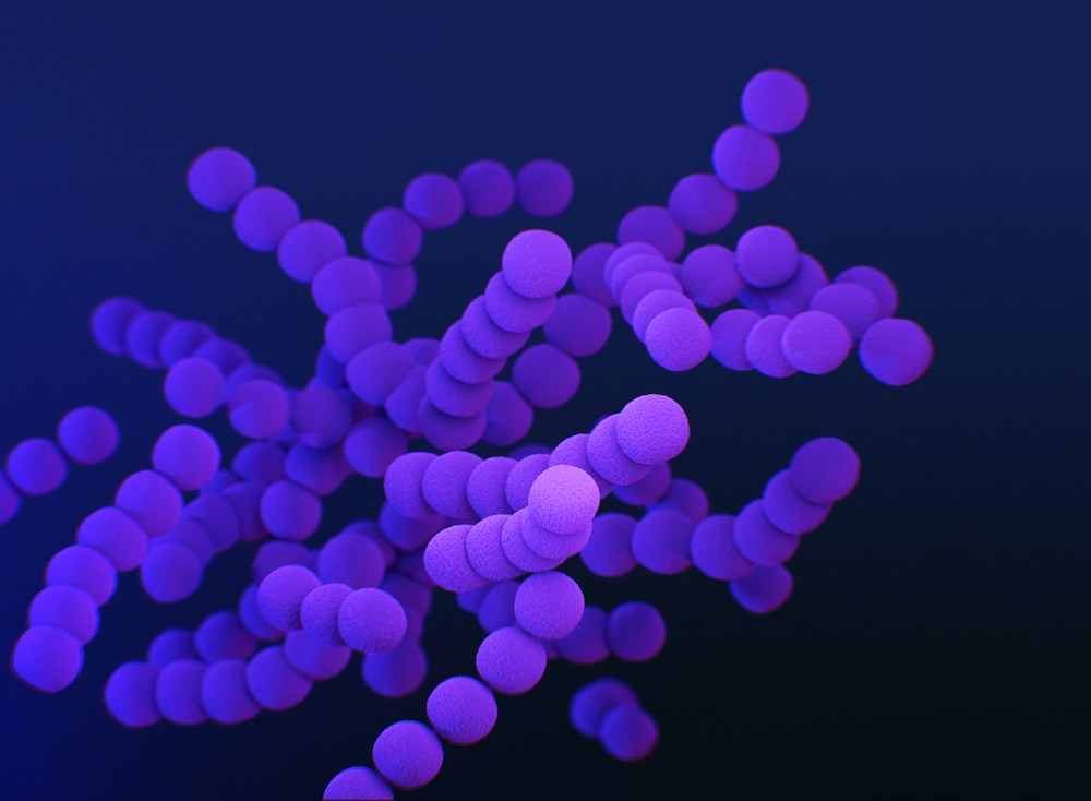 Streptococcus Agalactiae in Gravidanza: Cosa Devi Sapere